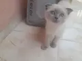 Minnaklar Sizleri Bekliyor