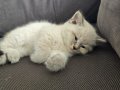 60 günlük IRK garantili