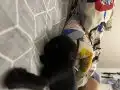 Kediye ırkçılık yapılıyor destek olun.