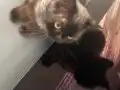 Yeni aile arıyoruz 