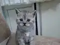 Yeni doğan bebeklerimiz 