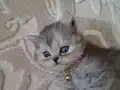 Yeni doğan bebeklerimiz 