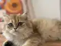 Harika eğlenceli sağlıklı 