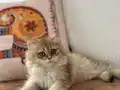 Harika eğlenceli sağlıklı 