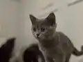 3 aylık bebeğimiz yuva arıyor