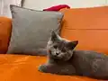 3 aylık bebeğimiz yuva arıyor