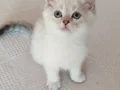 Minik Yavrularımız