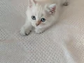 Minik Yavrularımız