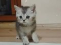 3 Yavrumuz Yeni Yuvalarını Bekliyorlar