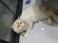 Tatlı oğlumuz