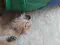 TATLI KIZIMIZ YENİ YUVASINI ARIYOR