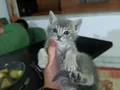 2 aylık olmak üzere 