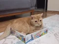 Güzelliğiyle etkileyici