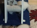 3 yavrumuz yeni yuvasını bekliyor 