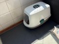 Tüm Bakımları yapılmış 4 aylık Ragdol Erkek