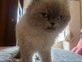 Temas bağımlısı bir bebiş . Ömürlük sahibini arıyor..????