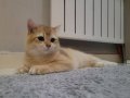 Yakışıklı Oğlumuz 