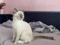 ÇOK UYSAL BİR ÇOÇUK