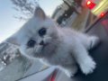 MİNİK YAVRUMUZ