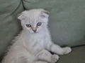 Evde anne altından