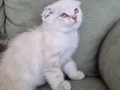 Evde anne altından