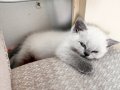 Arıyanı üzmem fazlalıktan çıkartıyorum 
