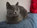 Sahiplandırıyoruz 