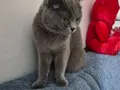 Sahiplandırıyoruz 