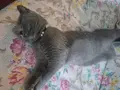 Sahiplandırıyoruz 