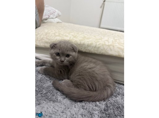 DÜNYA GÜZELİ KIZIMIZ