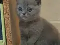 ÇOK ÇİRKİN VE SEVİMSİZ YAVRULAR
