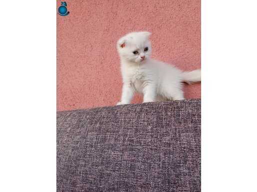 Çok güzel bebekler