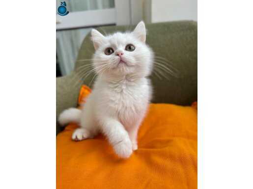 EŞSİZ GÜZELLİKTE BEBEĞİM