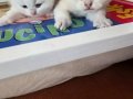 Muhteşem İnci Tanelerim Yuvanıza Uğur Getirsin