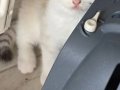 Muhteşem inci tanelerim uğur getirsin