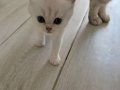 Muhteşem inci tanelerim uğur getirsin