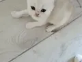 Muhteşem inci tanelerim uğur getirsin