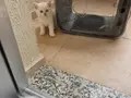 Muhteşem inci tanelerim uğur getirsin