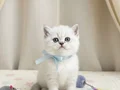Güzellik abidesi yavrumuz 