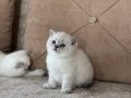 Minnak Boncuklarr