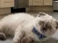 Dünyalar tatlısı bebeğimize yuva arıyoruz