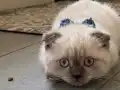 Dünyalar tatlısı bebeğimize yuva arıyoruz