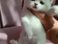 Güzel sağlıklı bebekler