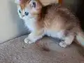 Kız güzeli bir erkek 