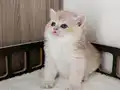 Çok yakışıklı bir erkek 