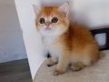 Tatlı minnoş bir prenses 