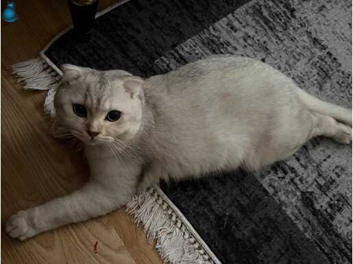 Uygunu vereceğim bütün malzemeleri ile birlikte 