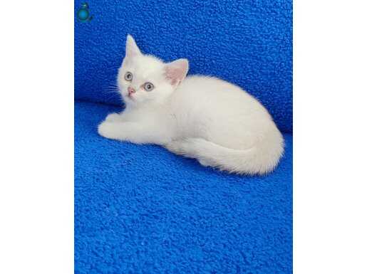 KALİTENİN TA KENDİSİ GÜZELLİK ABİDESİ