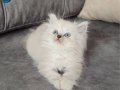 KAÇMAZ BİR GÜZELLİK KALİTE KENDİNİ ANLATIYOR