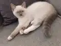 Sevgi dolu yuvasını arayan son bebeğimiz 